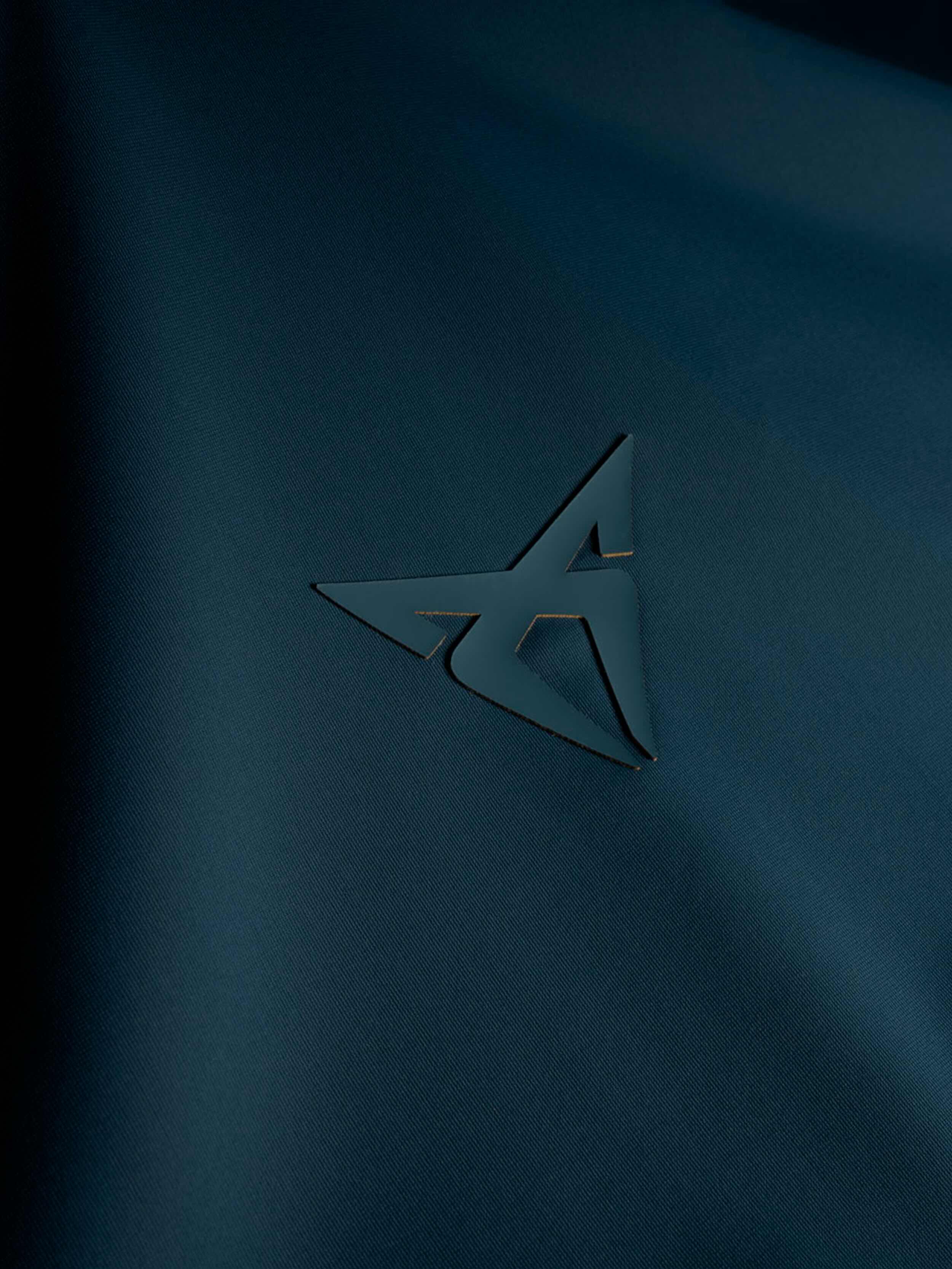 CUPRA men's and women's blue technical T-shirt | CUPRA Collection